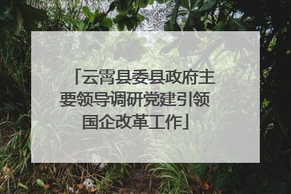 云霄县委县政府主要领导调研党建引领国企改革工作
