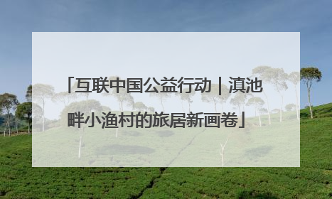 互联中国公益行动｜滇池畔小渔村的旅居新画卷