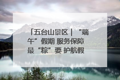 五台山景区｜“端午”假期 服务保障最“粽”要 护航假期“不打烊”