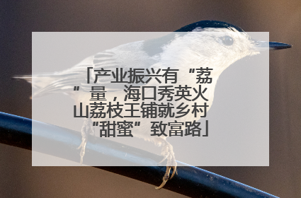 产业振兴有“荔”量，海口秀英火山荔枝王铺就乡村“甜蜜”致富路