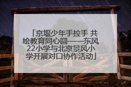 京堰少年手拉手 共绘教育同心圆——东风22小学与北京景风小学开展对口协作活动