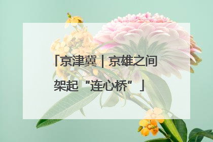 京津冀｜京雄之间架起“连心桥”