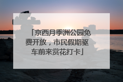 京西月季洲公园免费开放，市民假期驱车前来赏花打卡