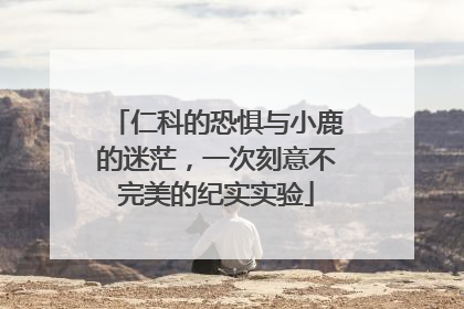 仁科的恐惧与小鹿的迷茫，一次刻意不完美的纪实实验