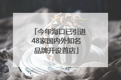 今年海口已引进48家国内外知名品牌开设首店