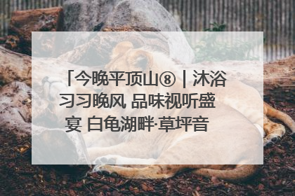 今晚平顶山⑧｜沐浴习习晚风 品味视听盛宴 白龟湖畔·草坪音乐会激情上演