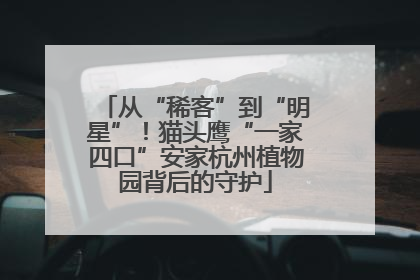 从“稀客”到“明星”！猫头鹰“一家四口”安家杭州植物园背后的守护