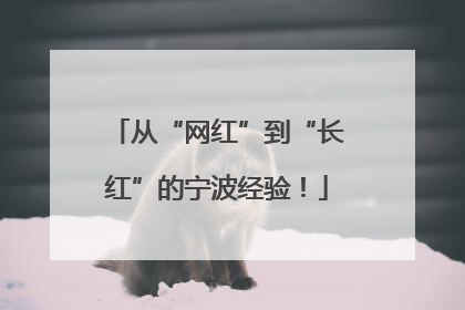 从“网红”到“长红”的宁波经验！