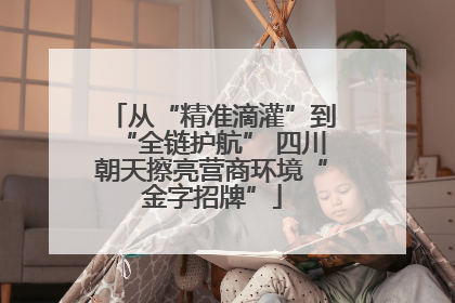 从“精准滴灌”到“全链护航” 四川朝天擦亮营商环境“金字招牌”