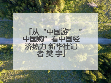 从“中国游”“中国购”看中国经济热力 新华社记者 樊 宇