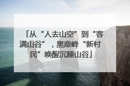 从“人去山空”到“客满山谷”，黑麋峰“新村民”唤醒沉睡山谷