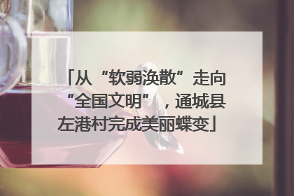 从“软弱涣散”走向“全国文明”，通城县左港村完成美丽蝶变