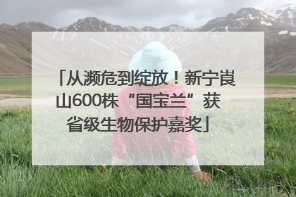 从濒危到绽放！新宁崀山600株“国宝兰”获省级生物保护嘉奖