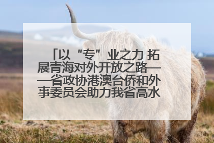 以“专”业之力 拓展青海对外开放之路——省政协港澳台侨和外事委员会助力我省高水平开放和高质量发展
