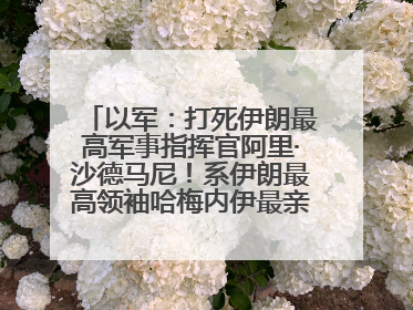 以军：打死伊朗最高军事指挥官阿里·沙德马尼！系伊朗最高领袖哈梅内伊最亲密的人之一