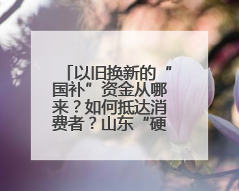 以旧换新的“国补”资金从哪来？如何抵达消费者？山东“硬核”举措有这些→