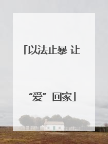 以法止暴 让“爱”回家