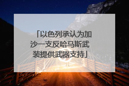 以色列承认为加沙一支反哈马斯武装提供武器支持