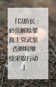 以防长：必须解除黎真主党武装 否则将继续采取行动