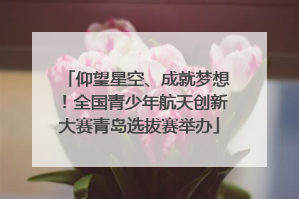 仰望星空、成就梦想！全国青少年航天创新大赛青岛选拔赛举办