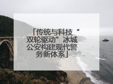 传统与科技“双轮驱动”冰城公安构建现代警务新体系