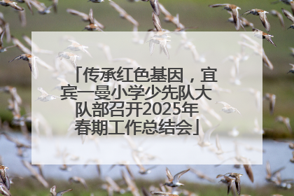 传承红色基因，宜宾一曼小学少先队大队部召开2025年春期工作总结会