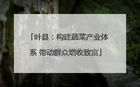 叶县：构建蔬菜产业体系 带动群众增收致富