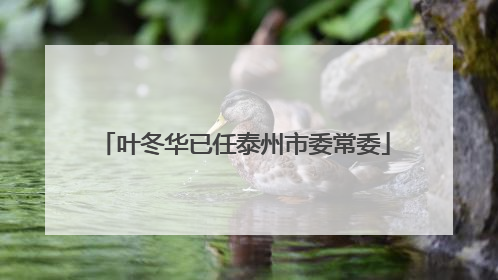 叶冬华已任泰州市委常委