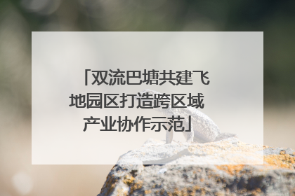 双流巴塘共建飞地园区打造跨区域产业协作示范