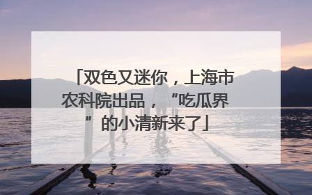 双色又迷你，上海市农科院出品，“吃瓜界”的小清新来了