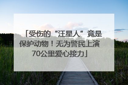 受伤的“汪星人”竟是保护动物！无为警民上演70公里爱心接力