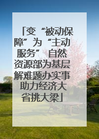 变“被动保障”为“主动服务” 自然资源部为基层解难题办实事 助力经济大省挑大梁