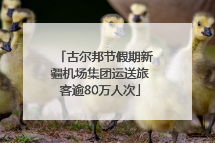 古尔邦节假期新疆机场集团运送旅客逾80万人次