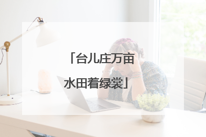 台儿庄万亩水田着绿裳