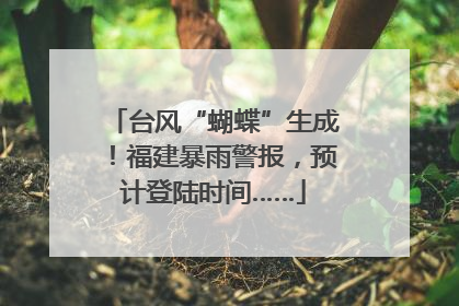 台风“蝴蝶”生成！福建暴雨警报，预计登陆时间……