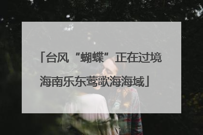 台风“蝴蝶”正在过境海南乐东莺歌海海域