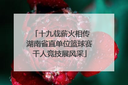 十九载薪火相传 湖南省直单位篮球赛千人竞技展风采