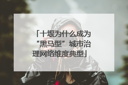 十堰为什么成为“黑马型”城市治理网络维度典型