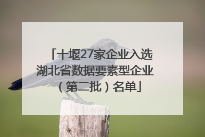 十堰27家企业入选湖北省数据要素型企业（第二批）名单