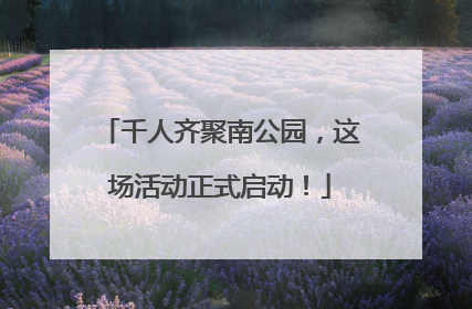 千人齐聚南公园，这场活动正式启动！