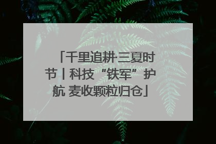 千里追耕·三夏时节丨科技“铁军”护航 麦收颗粒归仓