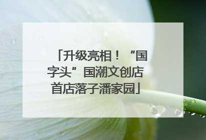 升级亮相！“国字头”国潮文创店首店落子潘家园