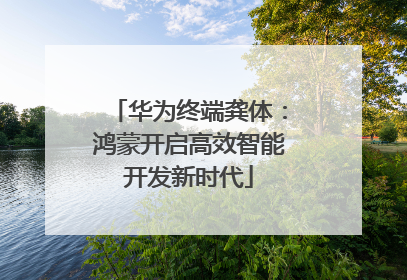华为终端龚体：鸿蒙开启高效智能开发新时代