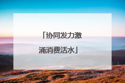 协同发力激涌消费活水