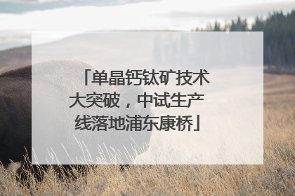 单晶钙钛矿技术大突破，中试生产线落地浦东康桥