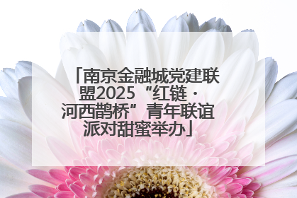 南京金融城党建联盟2025“红链・河西鹊桥”青年联谊派对甜蜜举办