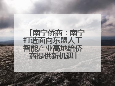 南宁侨商：南宁打造面向东盟人工智能产业高地给侨商提供新机遇