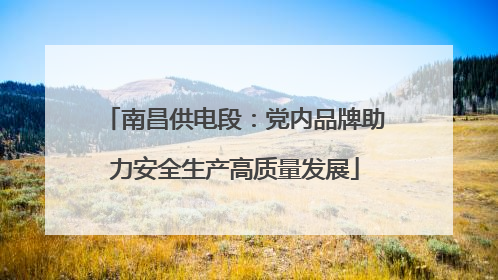 南昌供电段：党内品牌助力安全生产高质量发展