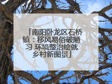 南阳卧龙区石桥镇：移风易俗破陋习 环境整治绘就乡村新图景
