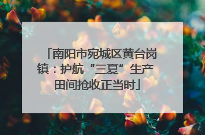 南阳市宛城区黄台岗镇：护航“三夏”生产 田间抢收正当时